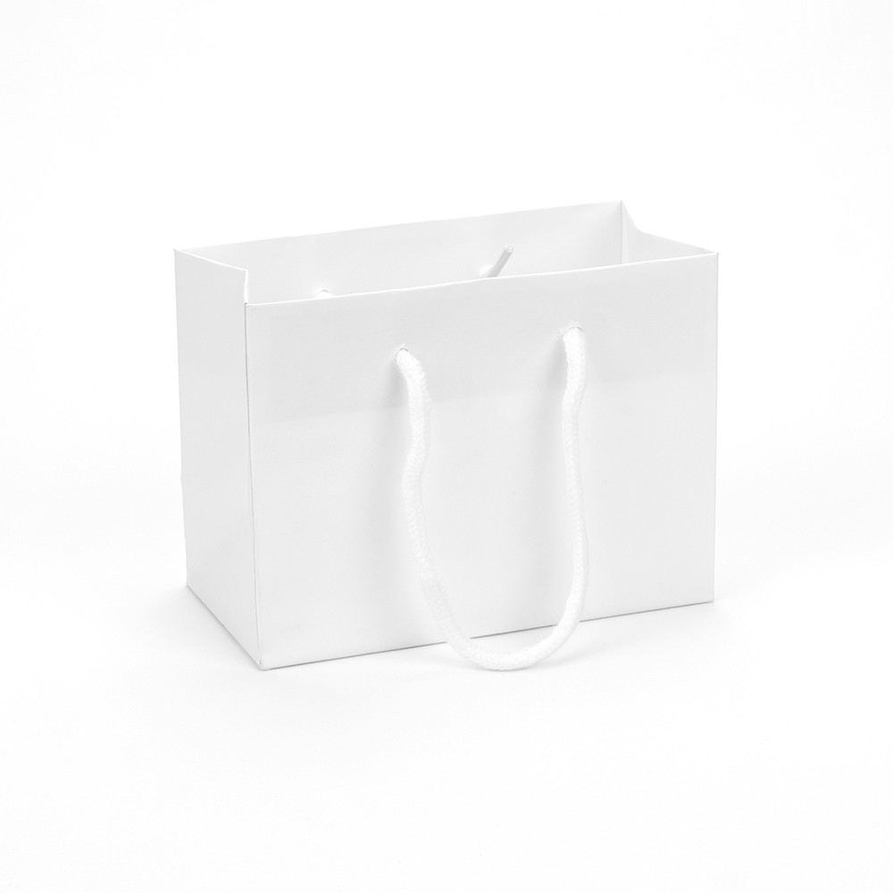 White gift bags with on sale handles