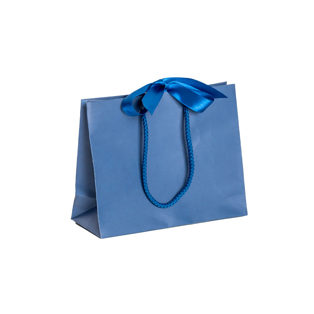 Blue on sale gift bags