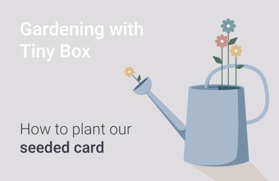 Gardening with Tinybox