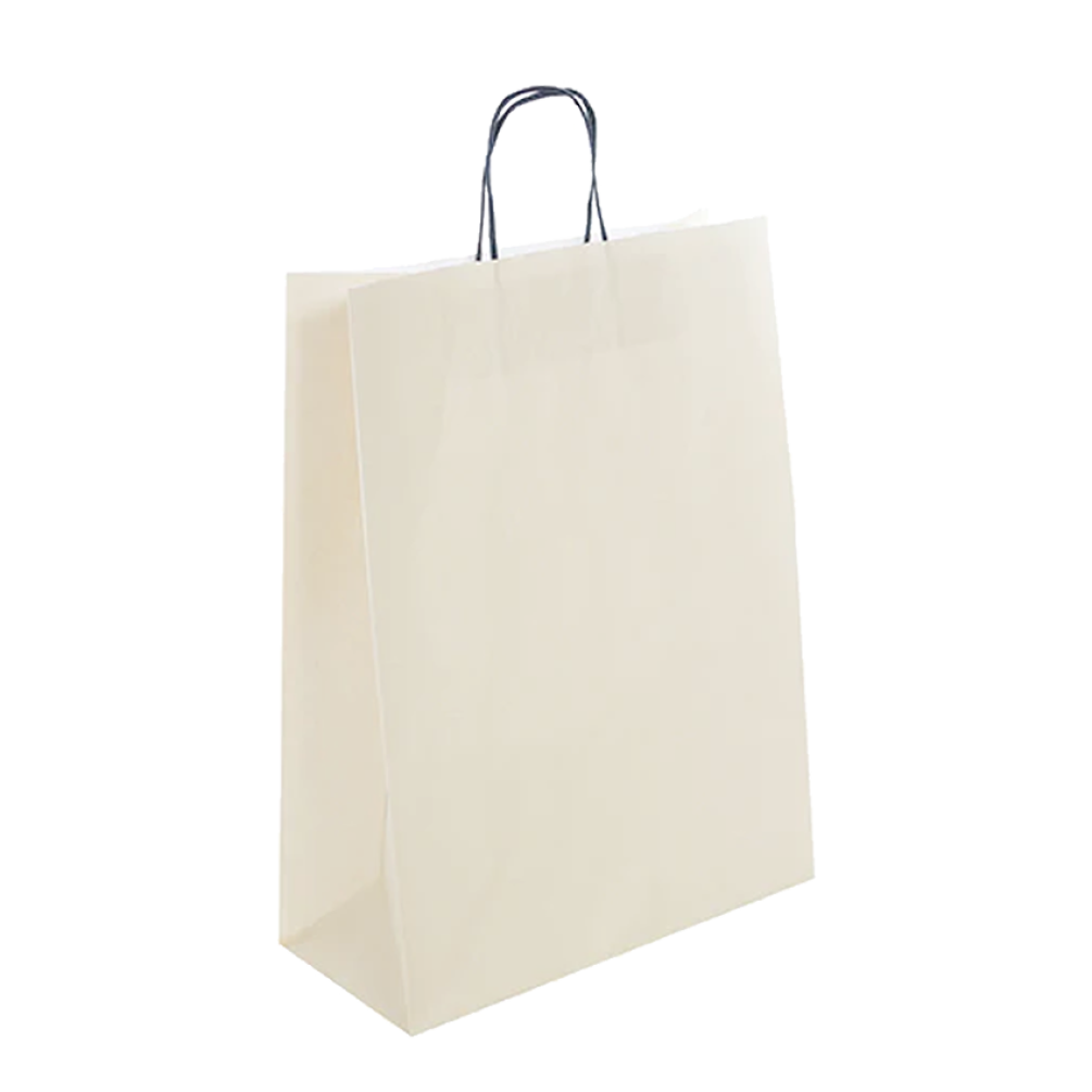 Pack of 25 Large Cream Paper Gift Bag With Paper Twisted Handles