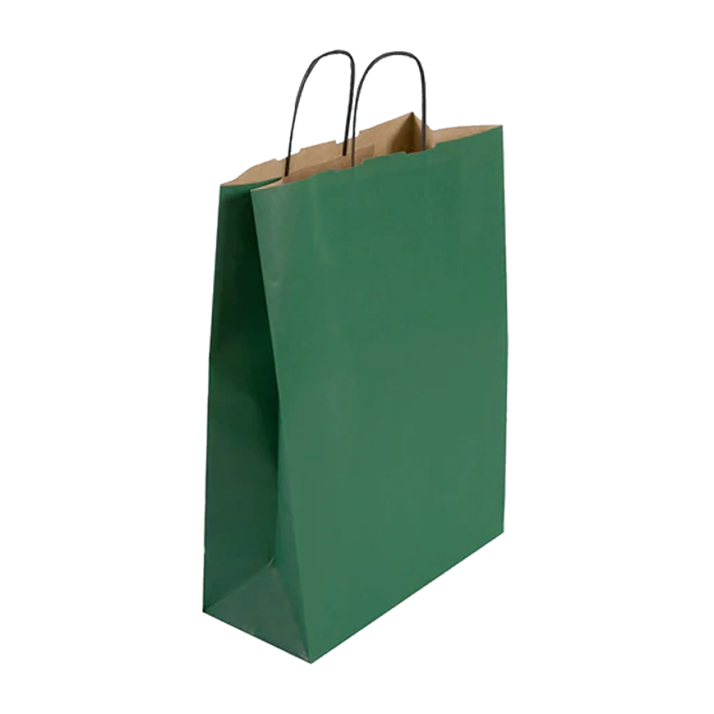 Pack of 25 Large Green Paper Gift Bag With Paper Twisted Handles