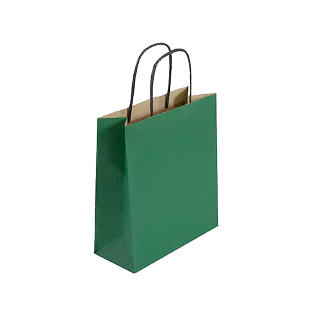 Pack of 25 Small Green Paper Gift Bags With Paper Twisted Handles