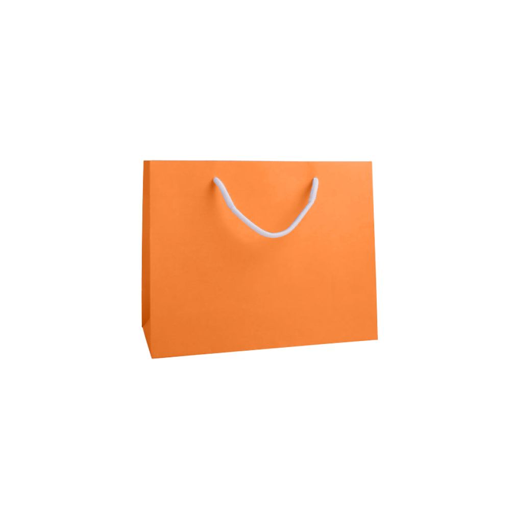 Apricot Crush Orange Medium Landscape Paper Gift Bag with Rope Handles