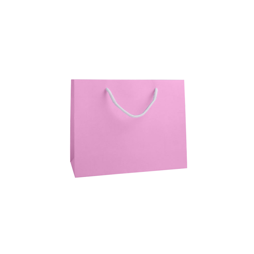 Fondant Pink Medium Landscape Paper Gift Bag with Rope Handles