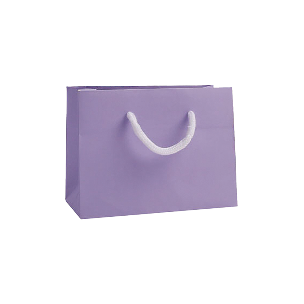 Small Landscape Lilac Paper Gift Bag With Rope Handles