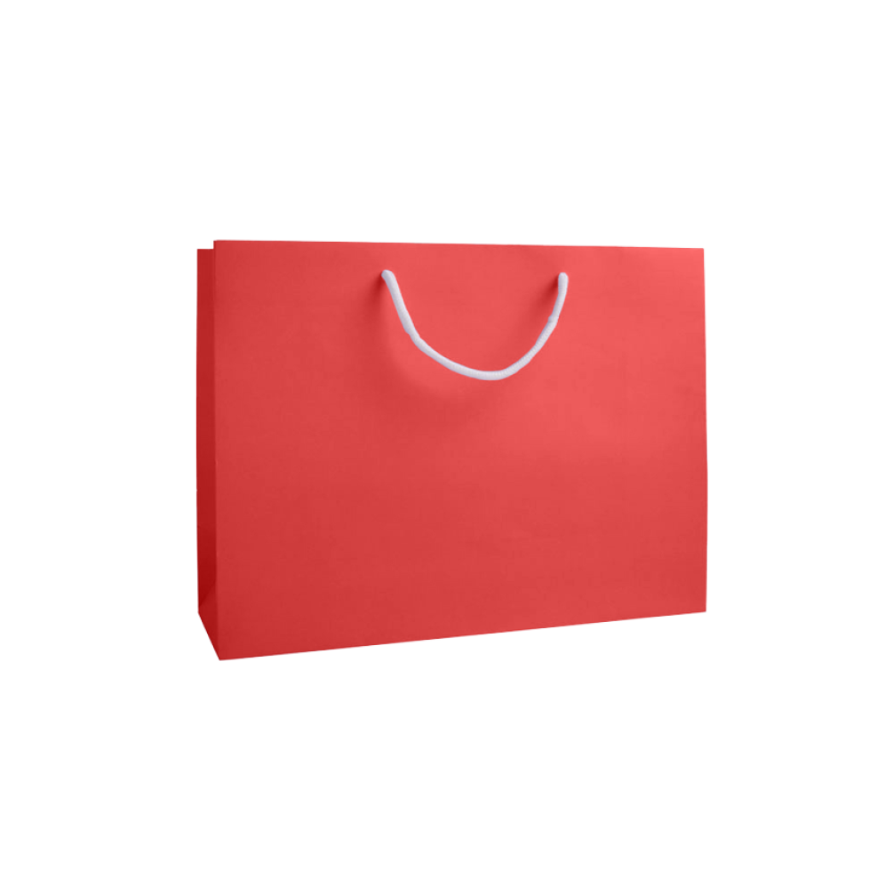 Radiant Red Large Landscape Paper Gift Bag with Rope Handles