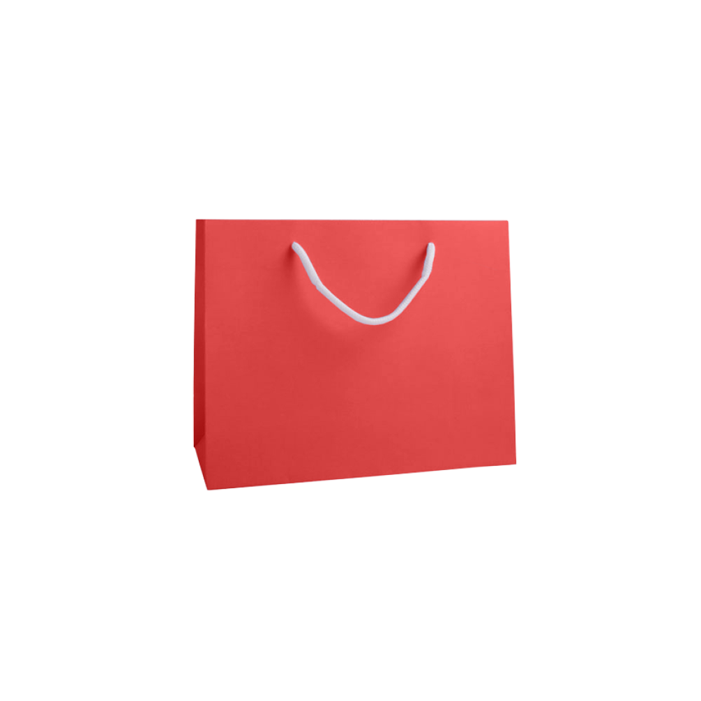 Radiant Red Medium Landscape Paper Gift Bag with Rope Handles