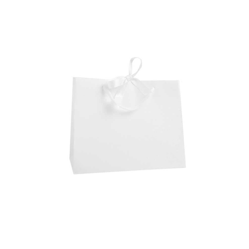 Medium White Landscape Paper Gift Bag With Rope Handles and Ribbon