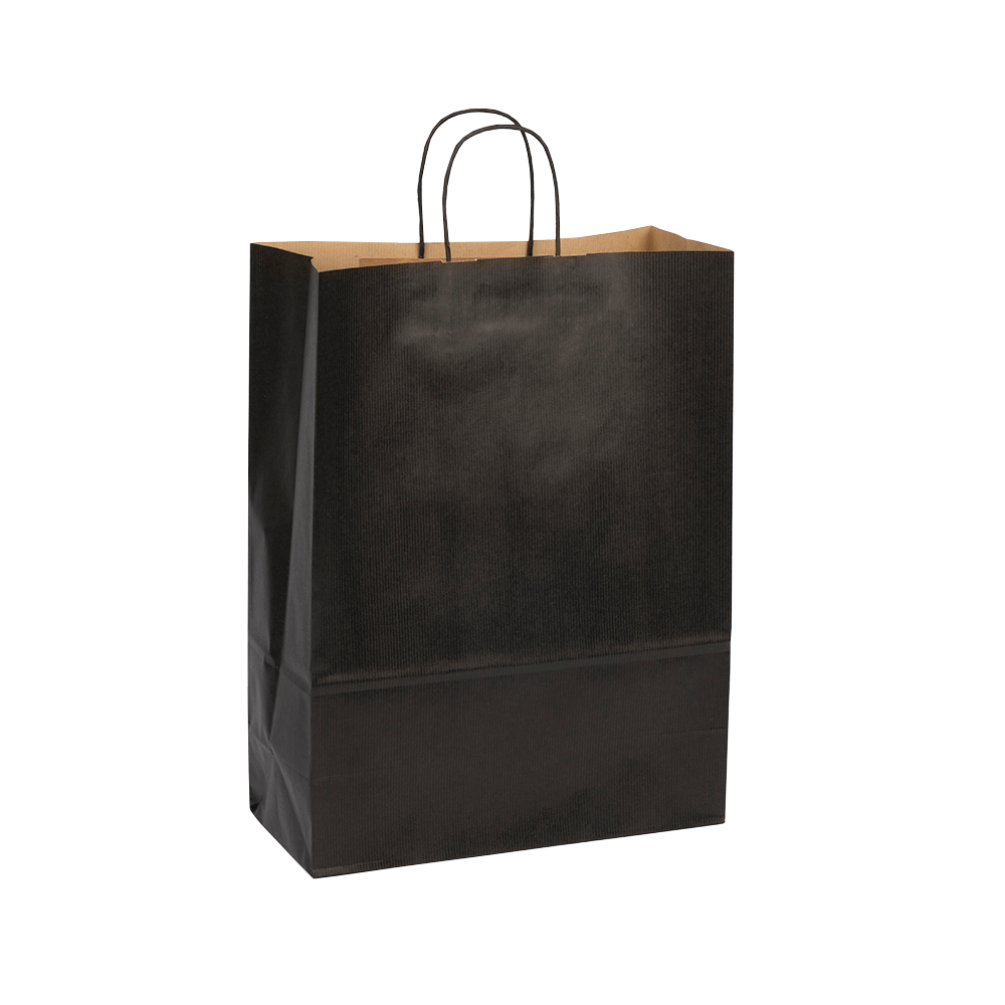 Large Black Paper Gift Bag With Paper Twisted Handles