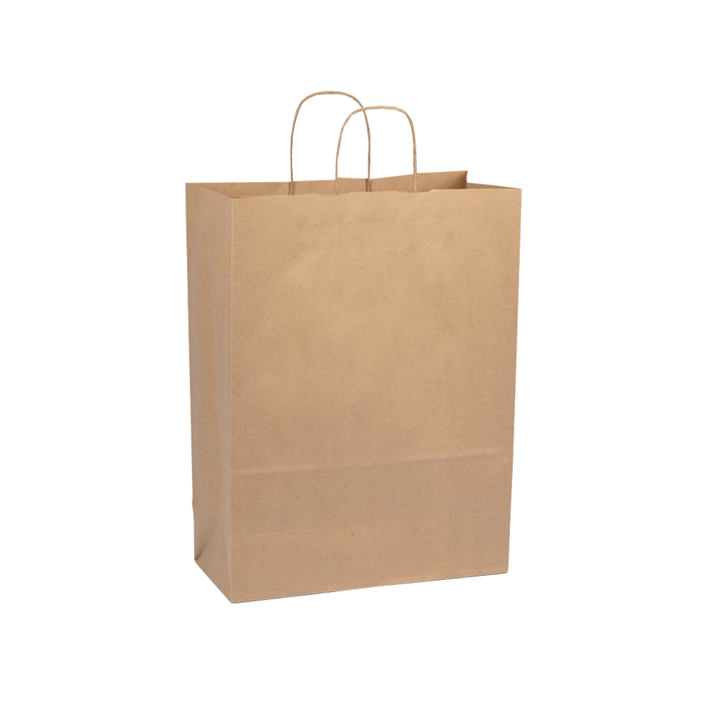 Large Brown Kraft Paper Gift Bag With Paper Twisted Handles