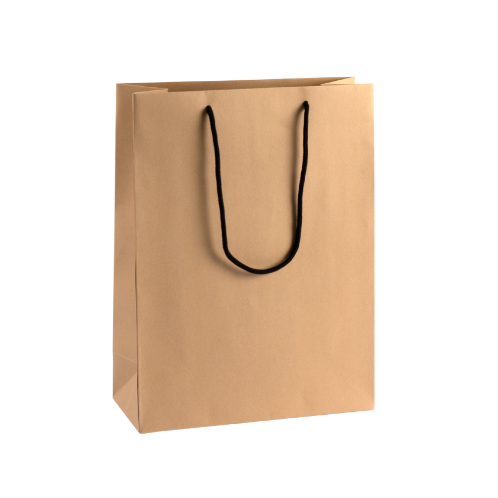 Extra Large Portrait Kraft Paper Gift Bag With Rope Handles