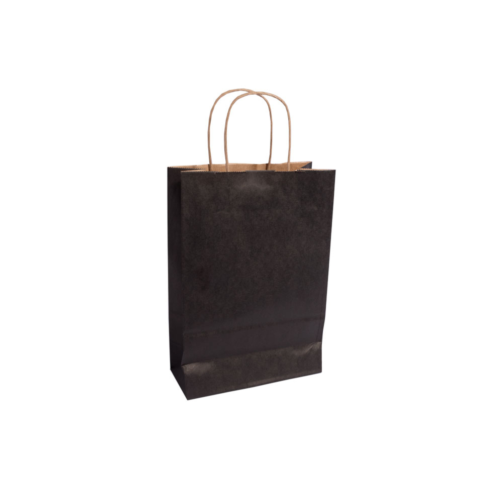 Essentials Medium Paper Gift Bag With Paper Twisted Handles