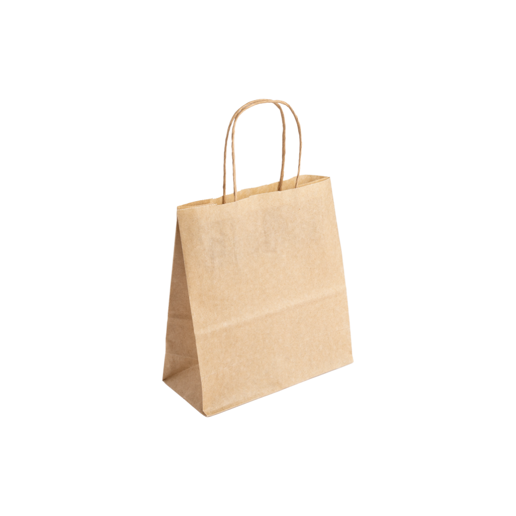 Essentials Range Small Kraft Brown Paper Gift Bag with Paper Twisted Handles