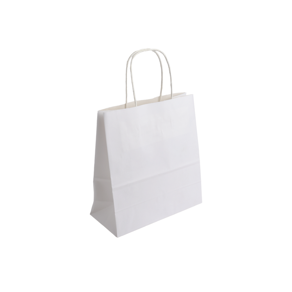 Essentials Range Small White Paper Gift Bag with Paper Twisted Handles