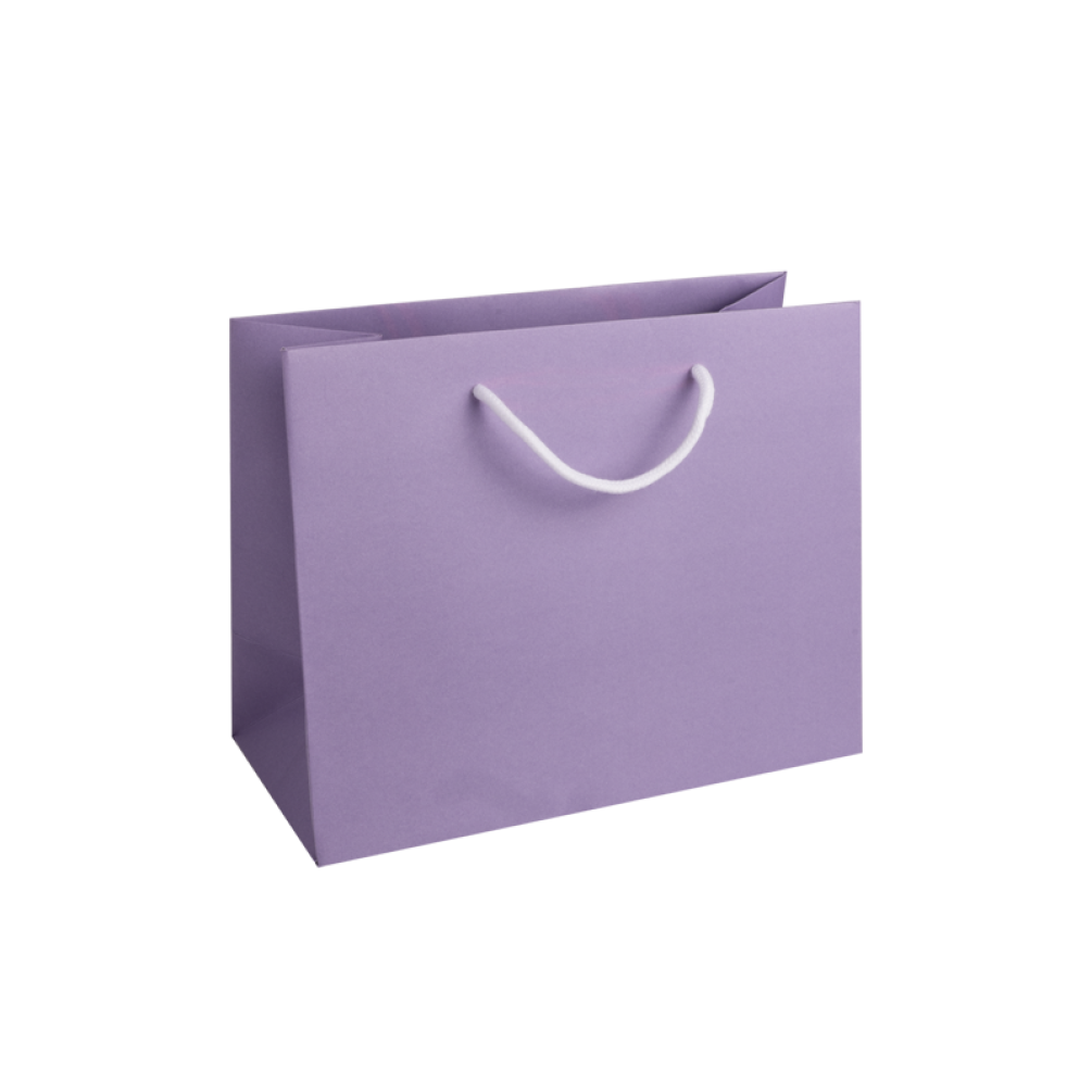 Seconds Medium Landscape Lilac Paper Gift Bag With Rope Handles