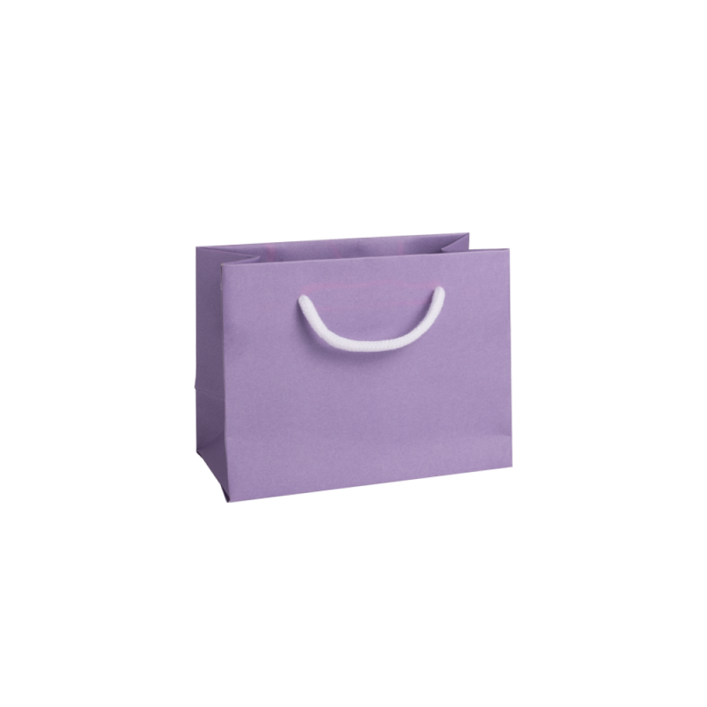 Seconds Small Landscape Lilac Paper Gift Bag With Rope Handles