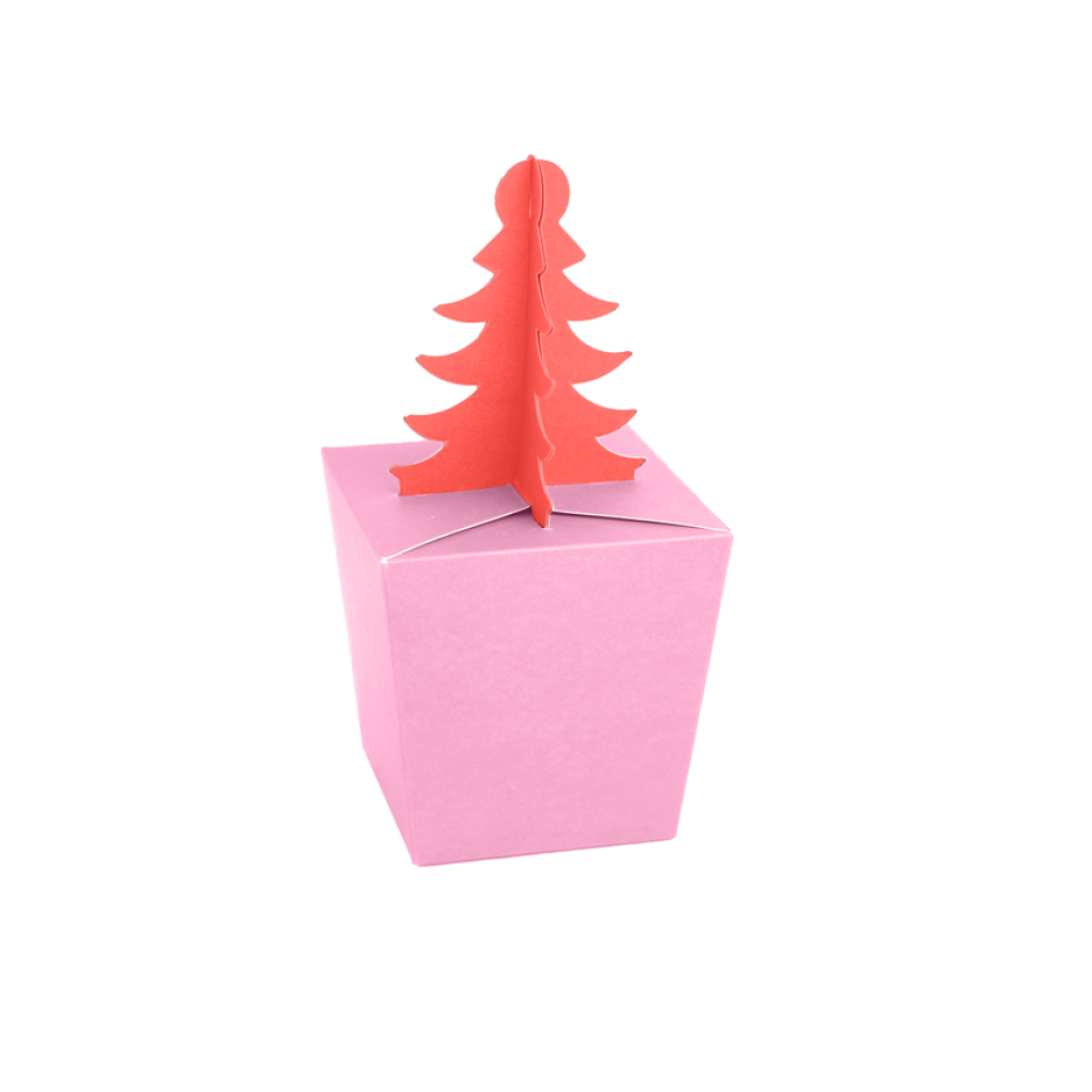 Fondant Pink and Radiant Red Flat Pack Christmas Tree Gift Box